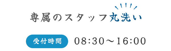専属のスタッフ丸洗い｜受付時間08:30～16:00